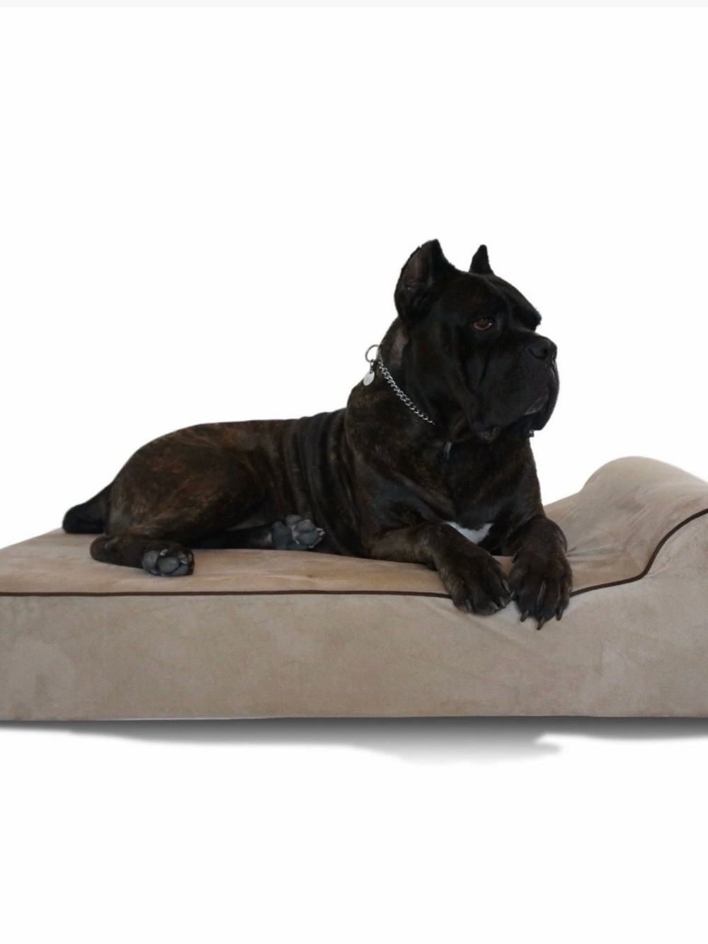 Original Bully Bed Orthopedic Dog Bed